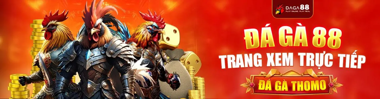 Sân chơi đá gà trực tuyến 18win3 sôi động